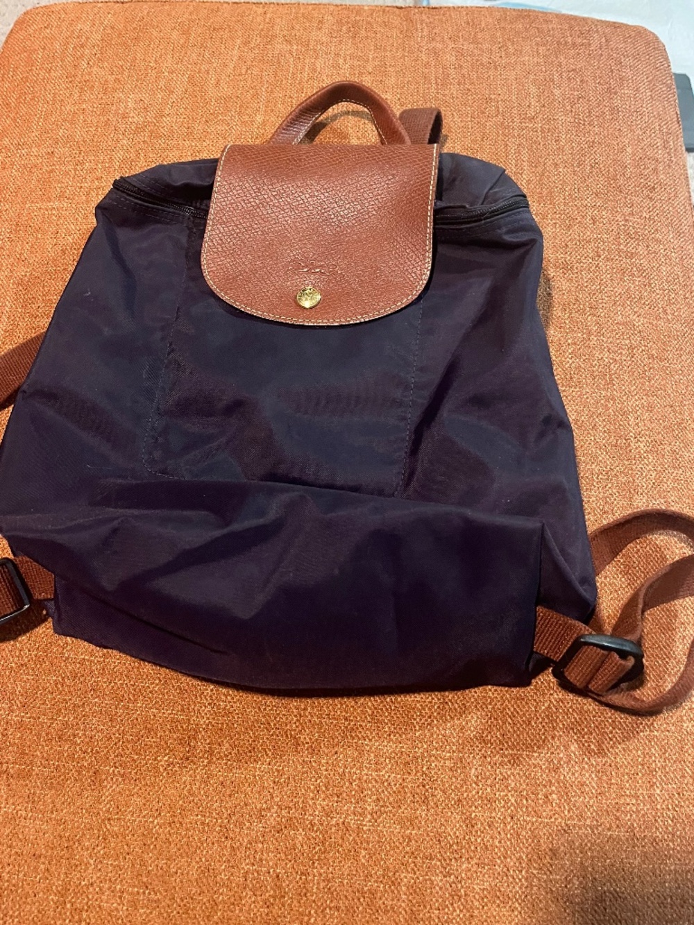 Longchamp Le Pliage small backpack